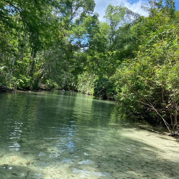 Meet your Posher, Devon - Picture 1 of 1